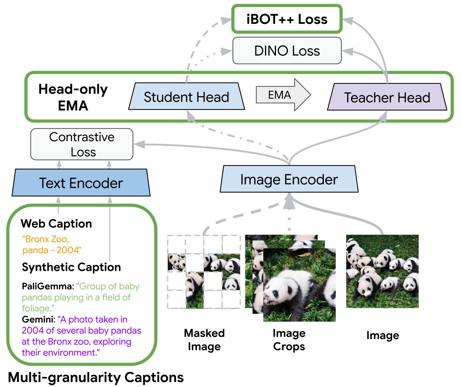 TIPSv2 Pretraining Overview