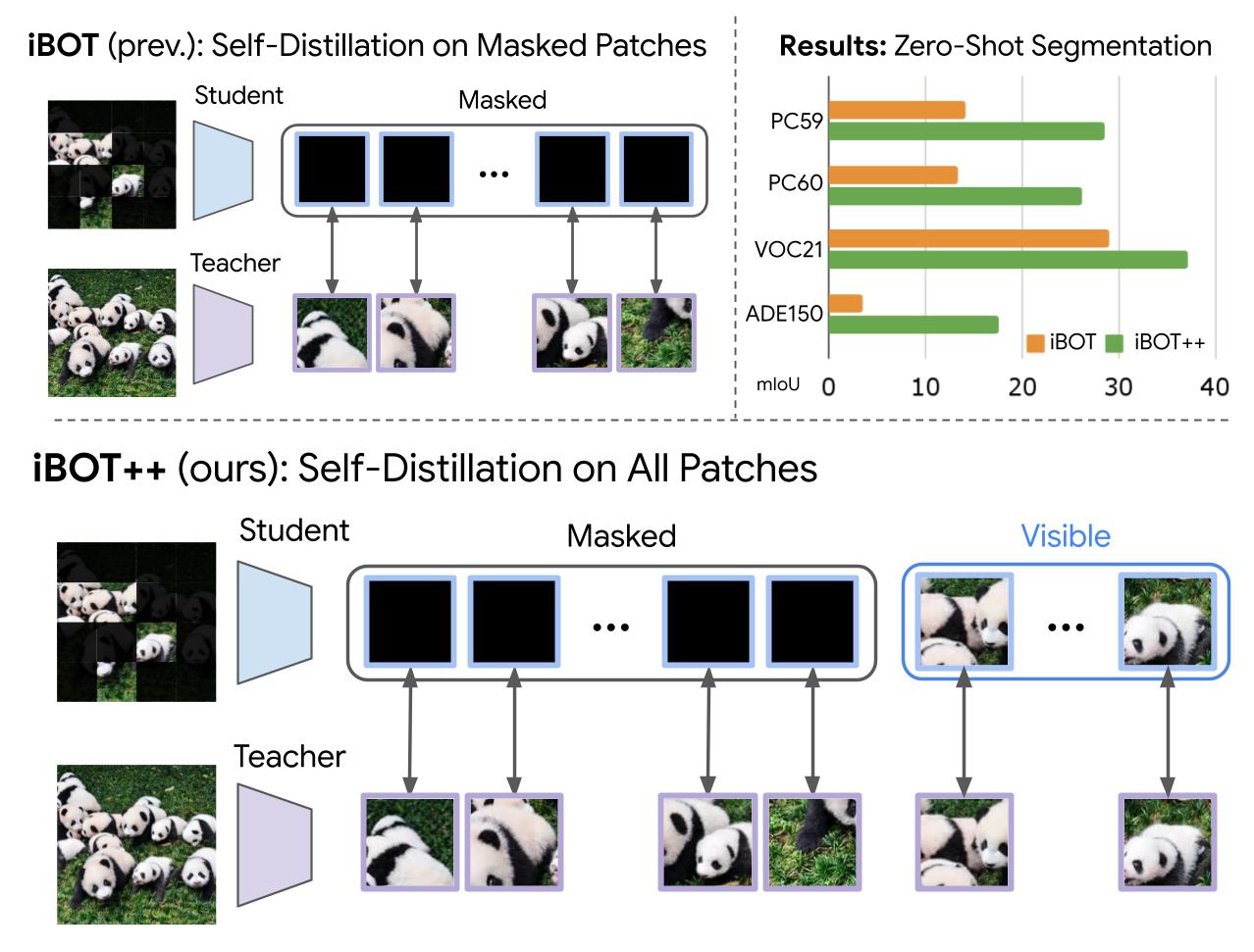 iBOT vs iBOT++ — TIPSv2 teaser